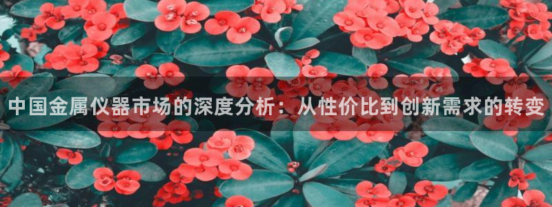 恒行娱乐郑74OOO5：中国金属仪器市场的深度分析：从性价比