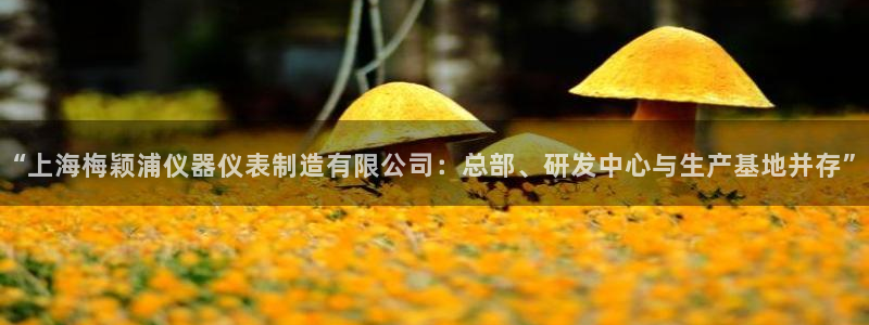 恒行娱乐5ll533主管优雅：“上海梅颖浦仪器仪表制造有限公