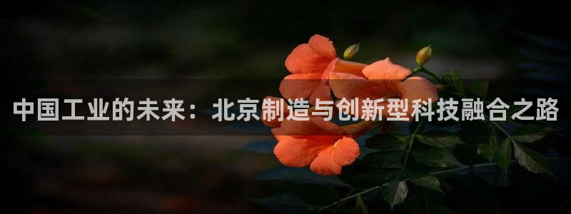 恒在5行中代表什么数字：中国工业的未来：北京制造与创新型科技