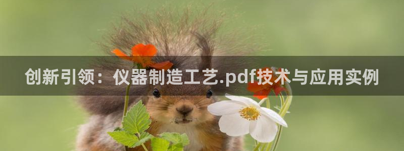 恒行注册全2O5O5O：创新引领：仪器制造工艺.pdf技术与