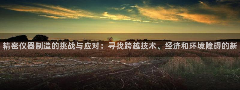 恒行2王74OOO5：精密仪器制造的挑战与应对：寻找跨越技术