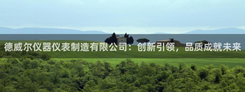 恒在5行中代表什么数字：德威尔仪器仪表制造有限公司：创新引领