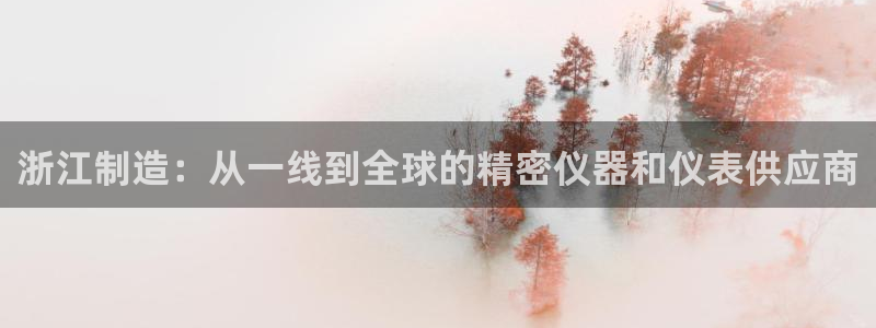 恒行2地74OOO5：浙江制造：从一线到全球的精密仪器和仪表