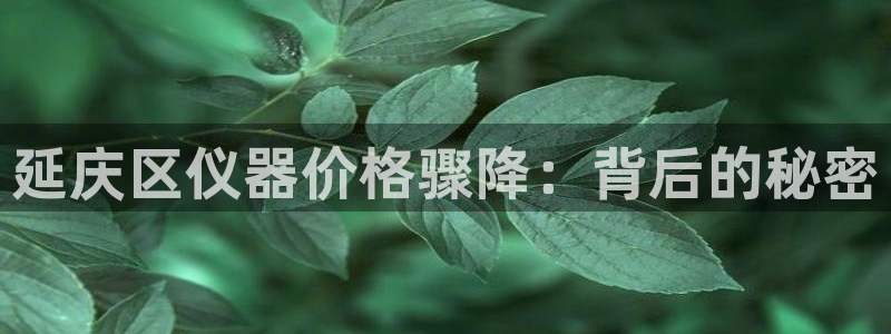 恒行3乃5O6917：延庆区仪器价格骤降：背后的秘密