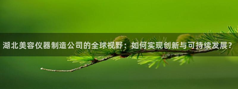 恒行2吴74OOO5：湖北美容仪器制造公司的全球视野：如何实