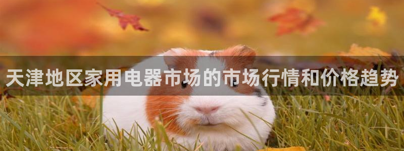 恒行娱乐毓婆74ooo5仪：天津地区家用电器市场的市场行情和