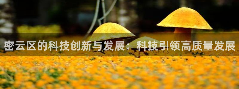 恒行2沈74OOO5：密云区的科技创新与发展：科技引领高质量