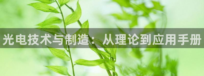 恒行2韩74OOO5：光电技术与制造：从理论到应用手册