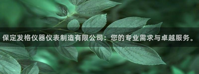 恒行主管6ll5l指定：保定发格仪器仪表制造有限公司：您的专
