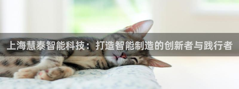 恒行娱乐陈74OOO5：上海慧泰智能科技：打造智能制造的创新