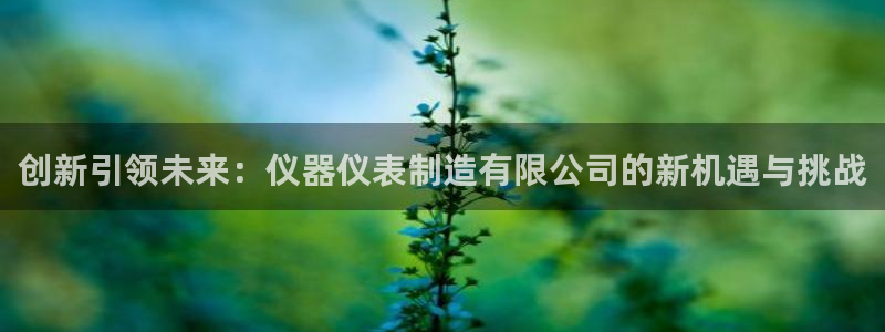 恒行开户娱乐6ll5l特惠：创新引领未来：仪器仪表制造有限公