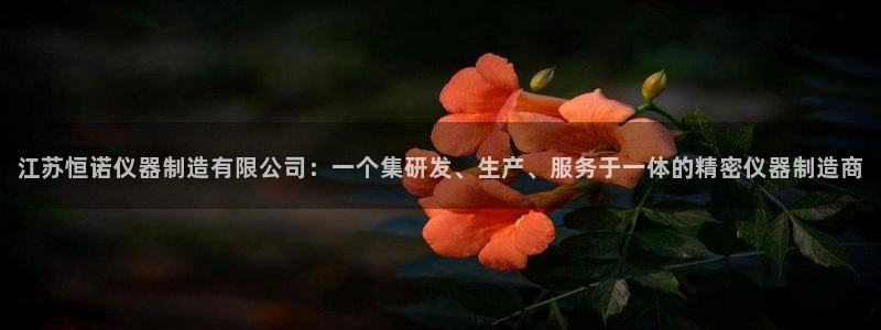 恒行娱乐河沂74ooo5程：江苏恒诺仪器制造有限公司：一个集