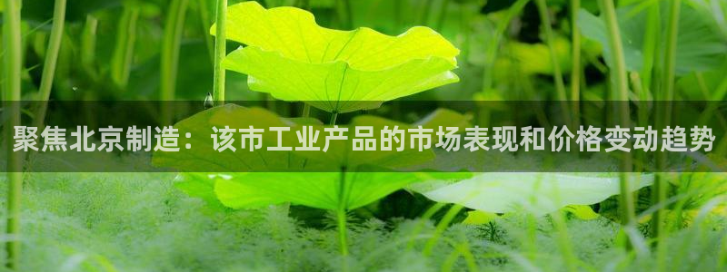 恒行娱乐吴74OOO5：聚焦北京制造：该市工业产品的市场表现