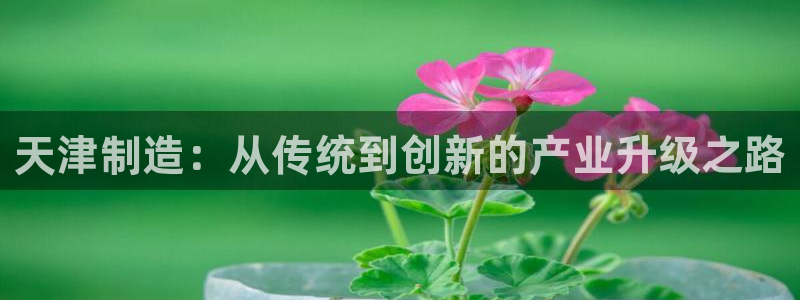 恒行2吴74OOO5：天津制造：从传统到创新的产业升级之路