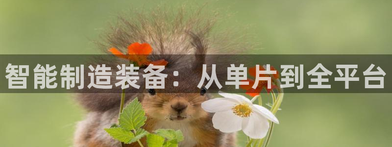 恒行2许74OOO5：智能制造装备：从单片到全平台