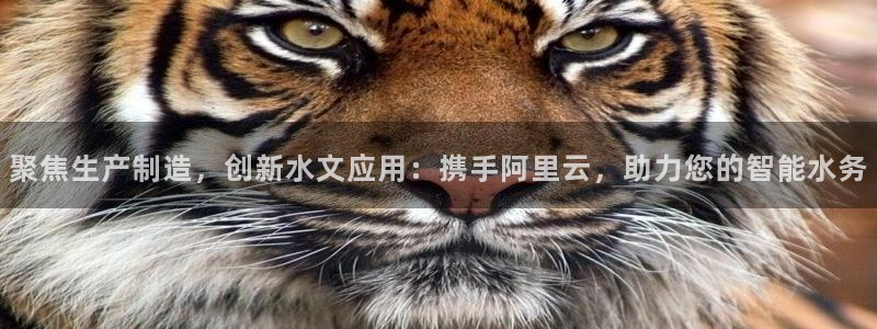 恒行娱乐陈74OOO5：聚焦生产制造，创新水文应用：携手阿里