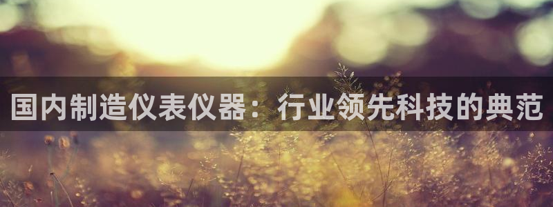 恒行娱乐鸟74ooo5判官：国内制造仪表仪器：行业领先科技的