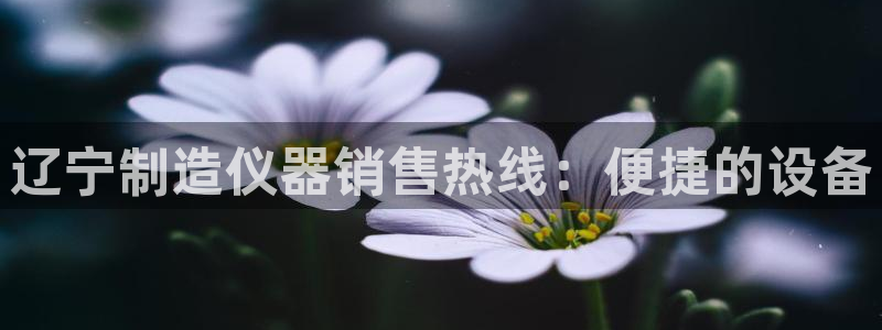 恒行彩票亏5千：辽宁制造仪器销售热线：便捷的设备