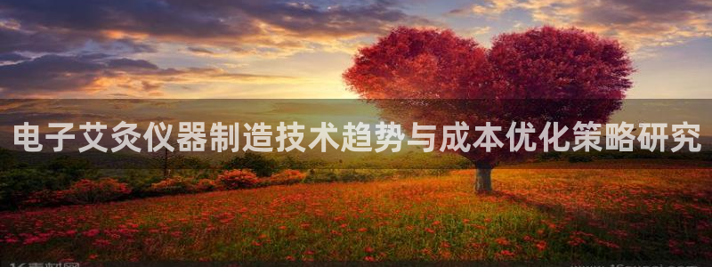 恒行2蒋74OOO5：电子艾灸仪器制造技术趋势与成本优化策略