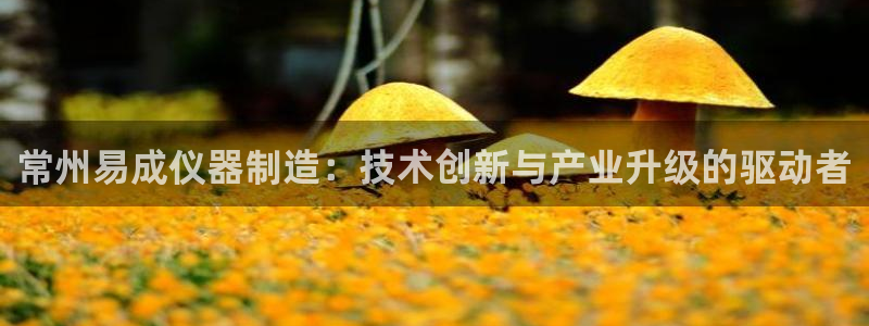 恒行2韩74OOO5：常州易成仪器制造：技术创新与产业升级的