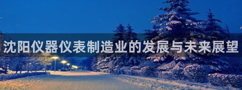恒行主管首问6ll5l：沈阳仪器仪表制造业的发展与未来展望