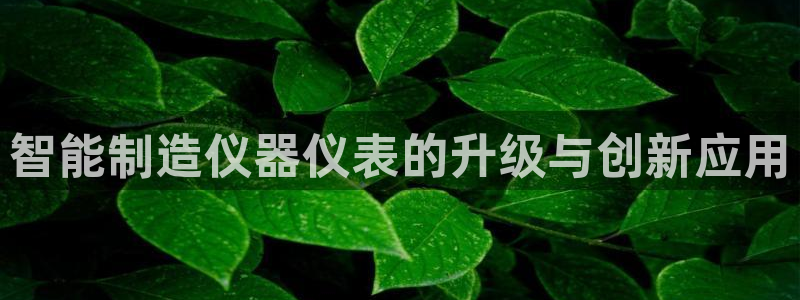 恒行注册全2O5O5O：智能制造仪器仪表的升级与创新应用