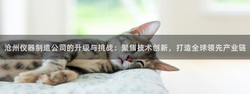 恒行2蒋74OOO5：沧州仪器制造公司的升级与挑战：聚焦技术