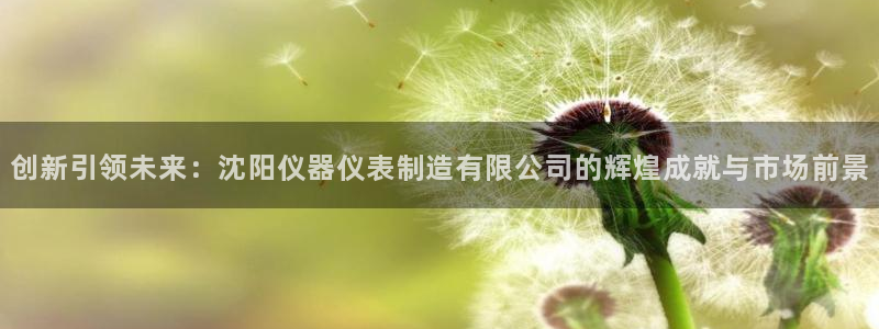 恒行开户娱乐6ll5l特惠：创新引领未来：沈阳仪器仪表制造有