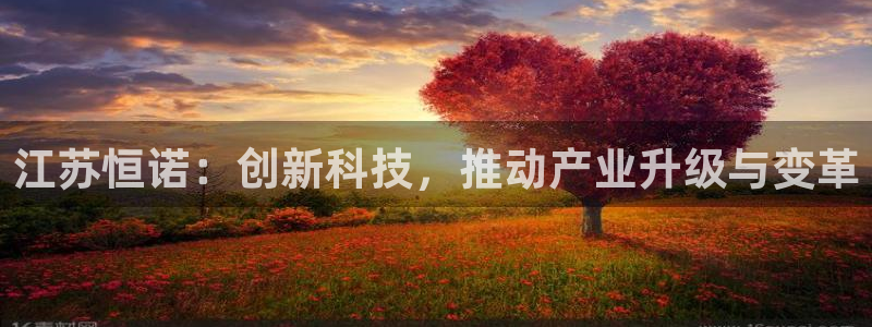 恒行2吕74OOO5：江苏恒诺：创新科技，推动产业升级与变革