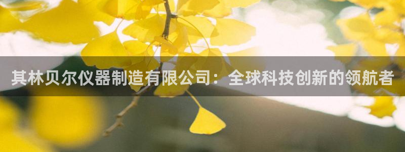 恒行娱乐卫74OOO5：其林贝尔仪器制造有限公司：全球科技创