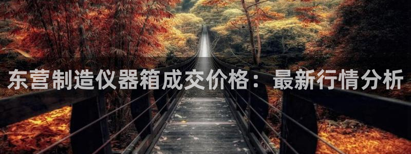 恒行娱乐冯74OOO5：东营制造仪器箱成交价格：最新行情分析