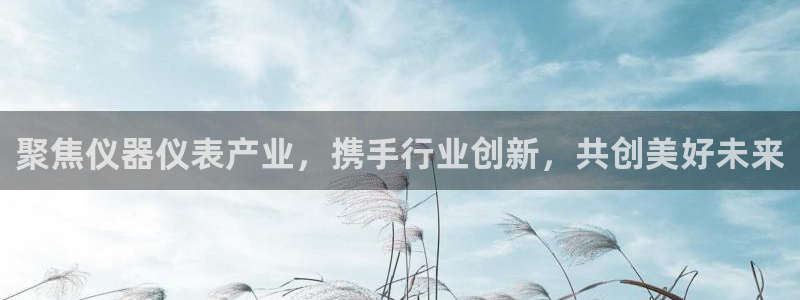 恒行娱乐度74ooo5聘霖：聚焦仪器仪表产业，携手行业创新，