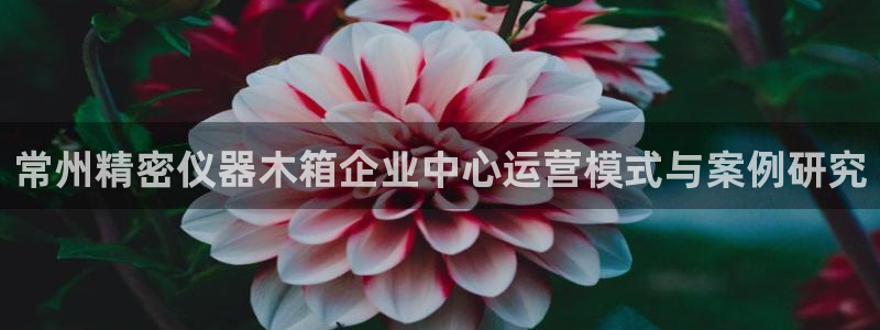 恒行开户全2O5o5O：常州精密仪器木箱企业中心运营模式与案
