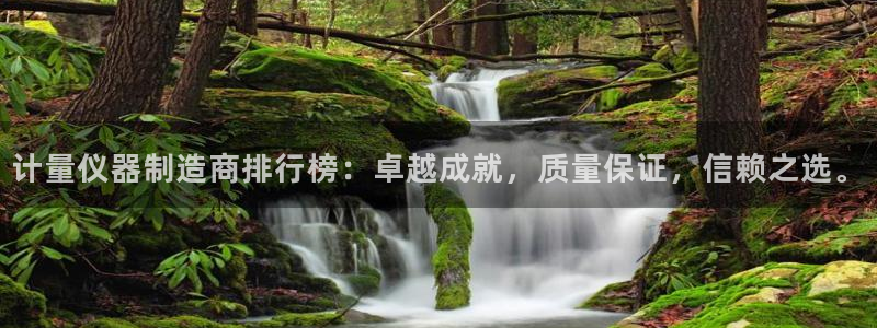 恒行娱乐登录5ll533主管一流：计量仪器制造商排行榜：卓越