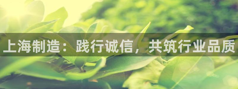 恒行3乃5O6917：上海制造：践行诚信，共筑行业品质