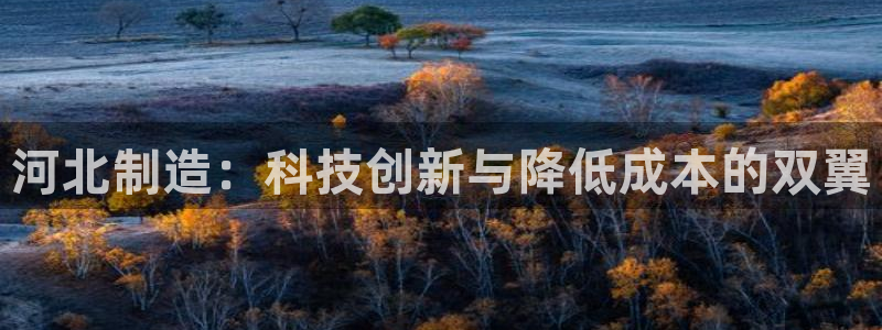 恒行2沈74OOO5：河北制造：科技创新与降低成本的双翼