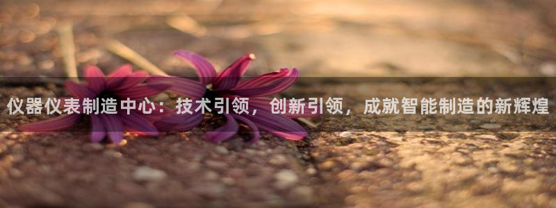 恒行娱乐热74ooo5主宰：仪器仪表制造中心：技术引领，创新