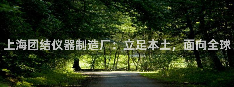 恒行2下74OOO5：上海团结仪器制造厂：立足本土，面向全球