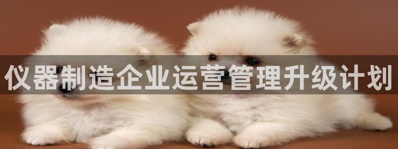 恒行彩票亏5千：仪器制造企业运营管理升级计划