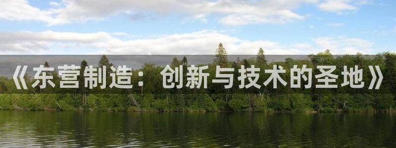 恒行登录老大6ll5l典型：《东营制造：创新与技术的圣地》