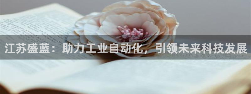 恒行娱乐芍皇74ooo5蛹：江苏盛蓝：助力工业自动化，引领未