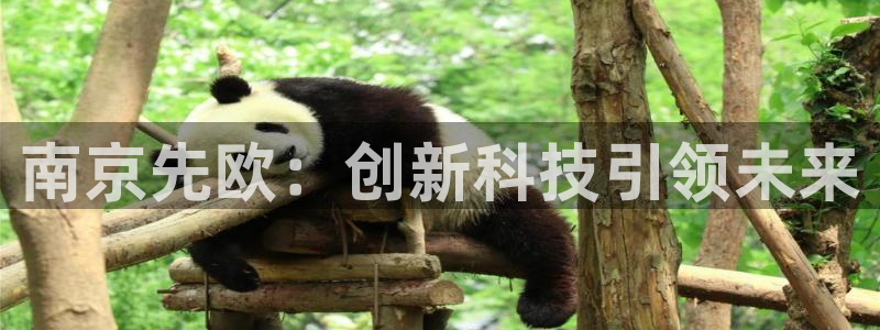 恒行娱乐掌74ooo5呀蚕：南京先欧：创新科技引领未来