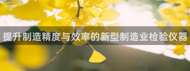 恒行2下74OO5：提升制造精度与效率的新型制造业检验仪器