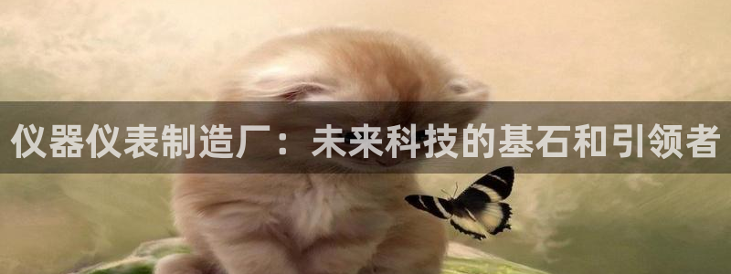 恒行2那74OO5：仪器仪表制造厂：未来科技的基石和引领者