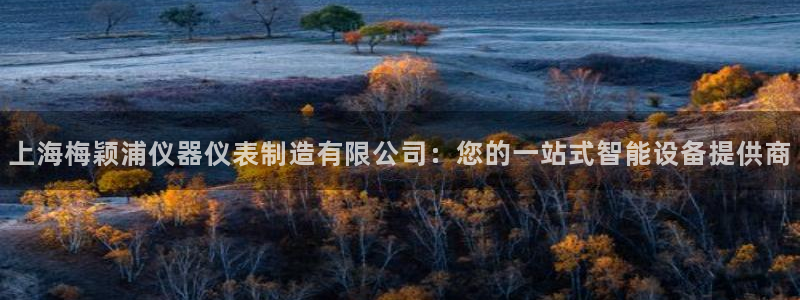 恒指5行情 如来再我心：上海梅颖浦仪器仪表制造有限公司：您的