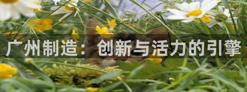 恒行娱乐卫74OOO5：广州制造：创新与活力的引擎