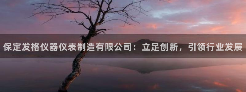 恒行2沈74OOO5：保定发格仪器仪表制造有限公司：立足创新