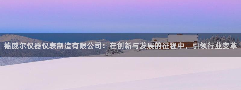 恒行2乃5O6917：德威尔仪器仪表制造有限公司：在创新与发