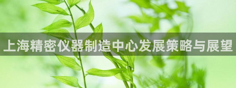 恒行娱乐掏沂74ooo5弛：上海精密仪器制造中心发展策略与展