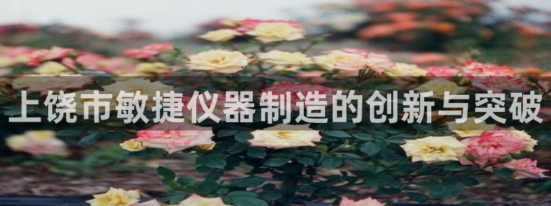 恒行彩票亏5千：上饶市敏捷仪器制造的创新与突破